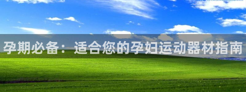 征途国际招商：孕期必备：适合您的孕妇运动器材指南