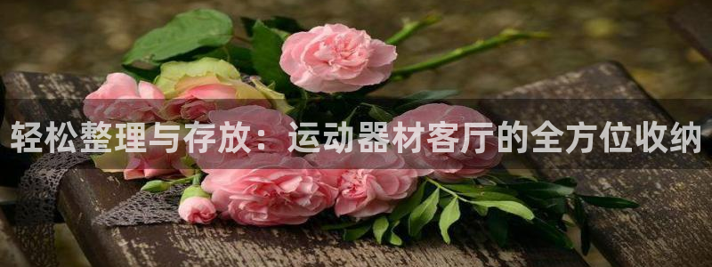 征途国际娱乐下载：轻松整理与存放：运动器材客厅的全方