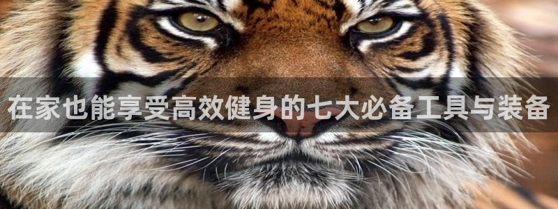 征途国际平台：在家也能享受高效健身的七大必备工具与装