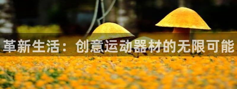 征途国际娱乐40996：革新生活：创意运动器材的无限可能