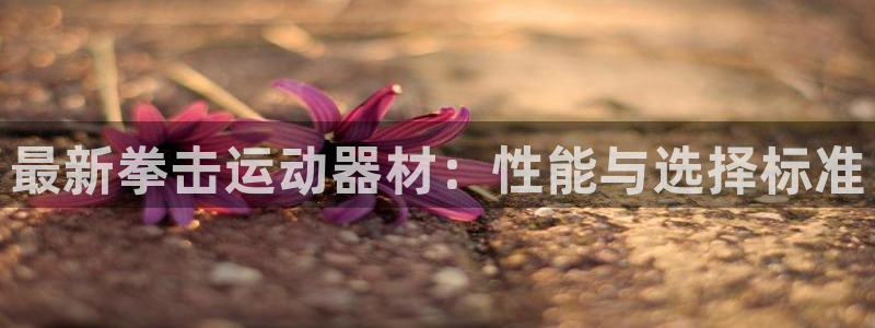 征途国际集团官网首页网址：最新拳击运动器材：性能与选择标准