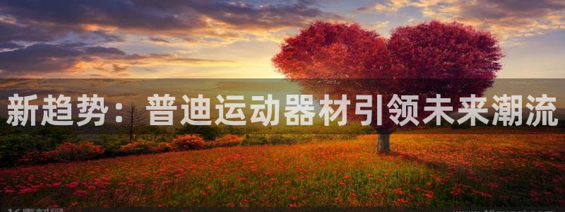 征途国际平台注册：新趋势：普迪运动器材引领未来潮流