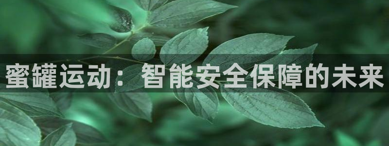 征途国际平台注册流程图：蜜罐运动：智能安全保障的未来