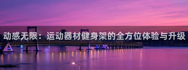 征途国际平台APP：动感无限：运动器材健身架的全方位