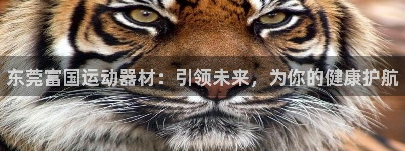 征途国际娱乐代理怎么样：东莞富国运动器材：引领未来，