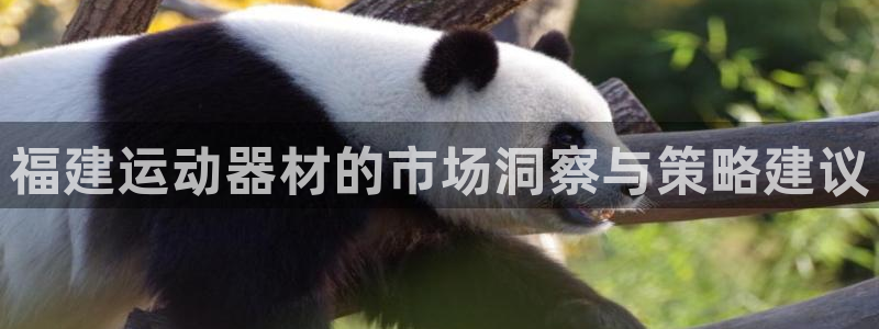 征途国际招商电话号码是多少啊
