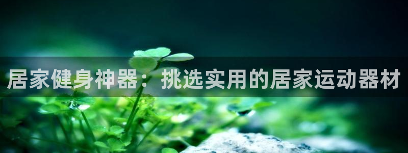 征途国际集团官网：居家健身神器：挑选实用的居家运动器材