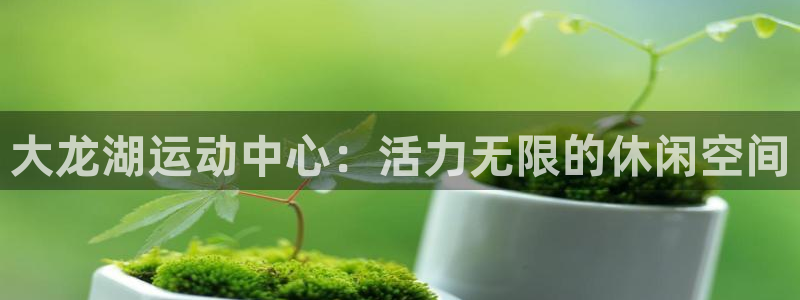 征途国际集团官网首页网址：大龙湖运动中心：活力无限的休闲空间