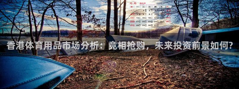 征途国际娱乐代理怎么样：香港体育用品市场分析：竞相抢购，未来