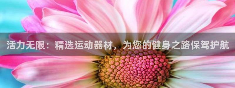 征途国际集团
