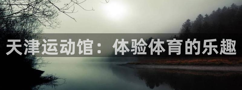 征途国际娱乐是那个系列的台子