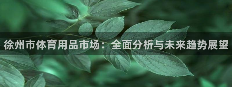 征途国际注册：徐州市体育用品市场：全面分析与未来趋势展望
