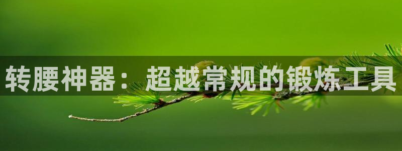 征途国际集团logo：转腰神器：超越常规的锻炼工具